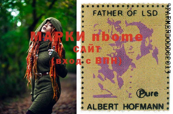 сатива Чегем
