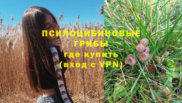 apvp Лихославль