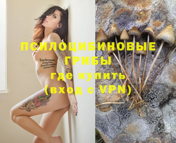 стафф Волосово