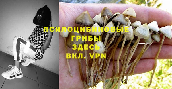 ГАЛЛЮЦИНОГЕННЫЕ ГРИБЫ Володарск