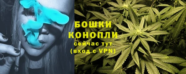 ГАЛЛЮЦИНОГЕННЫЕ ГРИБЫ Володарск