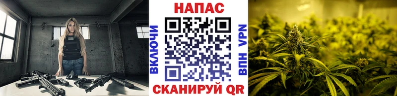 Шишки марихуана сатива  Макарьев 
